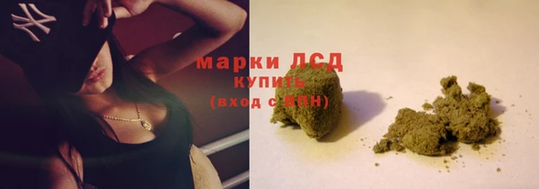 гидропоника Кулебаки