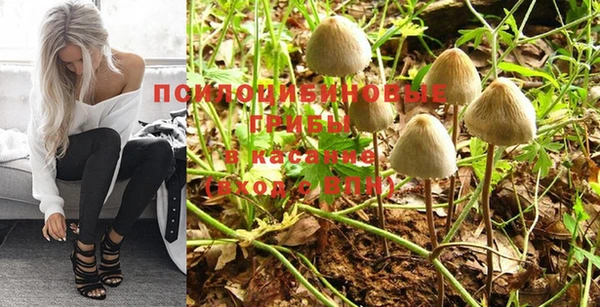 гидропоника Кулебаки