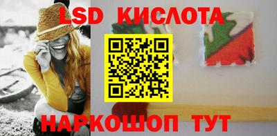 шишки Кимры