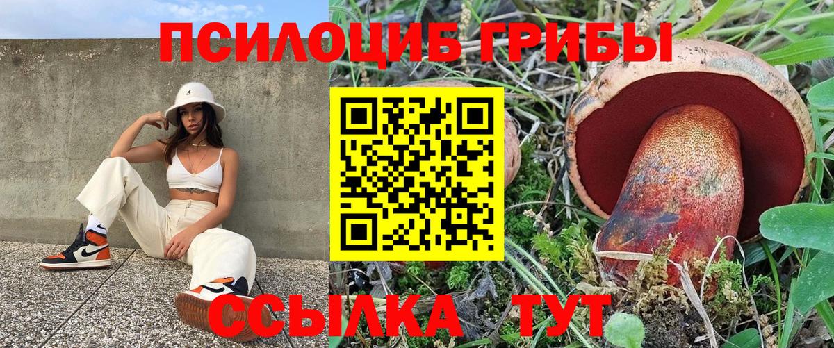Крымск  Галлюциногенные грибы Psilocybine cubensis  Вход с VPN 