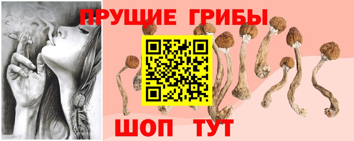 Галлюциногенные грибы MAGIC MUSHROOMS Крымск